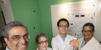 Research: Next step could be ‘nitrogen-fixing’ plants that can do the same, reducing the need for fertilizer —