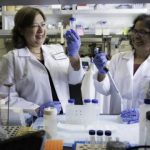 Study: The novel tool has the potential to treat a variety of genetic diseases — (Details)