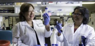 Study: The novel tool has the potential to treat a variety of genetic diseases — (Details)