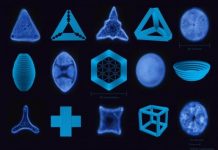 Tech: Single-celled architects inspire new nanotechnology — (Report)
