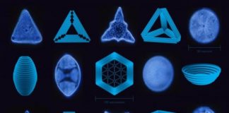 Tech: Single-celled architects inspire new nanotechnology — (Report)