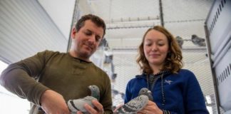 Research: The gene has unexpected links to vision defects in humans —