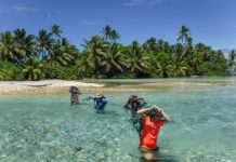 Research: New research demonstrates strong positive benefit to native trees following invasive species removal —