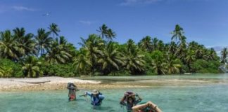 Research: New research demonstrates strong positive benefit to native trees following invasive species removal —