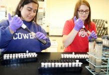 Research: Vital nutrient level indicated by protein presence —