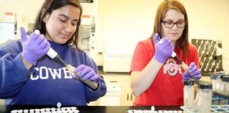 Research: Vital nutrient level indicated by protein presence —