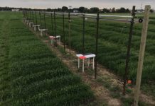 Research: DIY field imaging system —