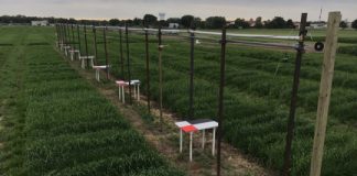 Research: DIY field imaging system —