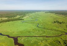 Research: Results may help identify ancient climates on Earth or other planets —