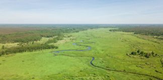 Research: Results may help identify ancient climates on Earth or other planets —