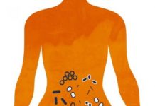 Research: Could preventing autism be as simple as changing expectant mothers’ diet? —