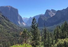 Research: Ozone pollution in US national parks close to that of largest US cities —