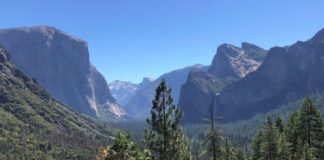 Research: Ozone pollution in US national parks close to that of largest US cities —