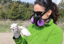 Research: Does biodiversity loss leads to an increased disease risk? —