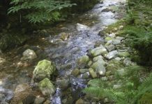 Research: Determining the bioaccumulation of 9 metals in aquatic invertebrates in mining areas —