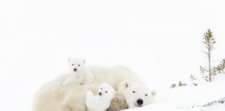 Offbeat: Political and business interests don’t appear to align with public’s view —