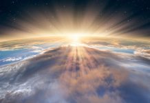 Research: Factors that shaped evolution —