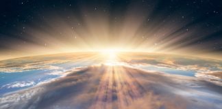 Research: Factors that shaped evolution —