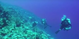 Research: Deep mesophotic reefs are unique systems bursting with life and deserving of lasting protection from global change and climate threats —