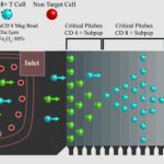 Study: Enabling technology in cell-based therapies: Scale-up, scale-out or program in-place (Details)