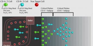Study: Enabling technology in cell-based therapies: Scale-up, scale-out or program in-place (Details)