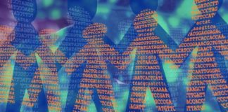 Research: New data will allow forensic scientists to calculate match statistics when using DNA sequencing to solve crimes —