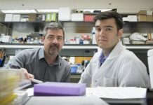 Research: Finding points to new approaches to battling diabetes, other chronic conditions —