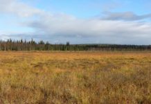 Tech: Slowdown of North Atlantic circulation rocked the climate of ancient northern Europe — (Report)