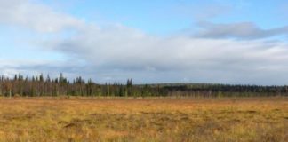 Tech: Slowdown of North Atlantic circulation rocked the climate of ancient northern Europe — (Report)