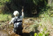 Research: Ancient farmers transformed Amazon and left an enduring legacy on the rainforest —