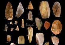 Research: Luminescence dating confirms human presence in North America prior to 16 thousand years ago, earlier than previously thought —