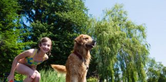 Study: Study shows that dogs that remain calm and show empathy during their owner’s distress help out faster — (Details)