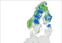 Research: Brown bears could live in an additional 380,000 square kilometers —