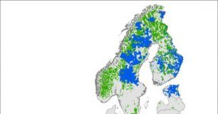 Research: Brown bears could live in an additional 380,000 square kilometers —