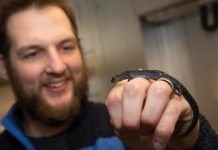 Research: Study finds surprisingly long stretches of celibacy —