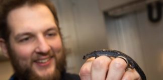 Research: Study finds surprisingly long stretches of celibacy —