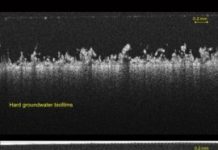 Tech: Chemicals that keep drinking water flowing may also cause fouling — (Report)