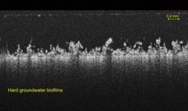 Tech: Chemicals that keep drinking water flowing may also cause fouling — (Report)