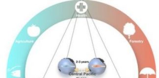 Research: The blueprint for El Niño diversity —