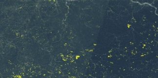 Tech: New mapping tool uses satellite images to track annual changes in mining’s footprint — (Report)