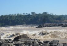 Research: Ancient people in the region began cultivating plants and altering forests earlier than previously thought —