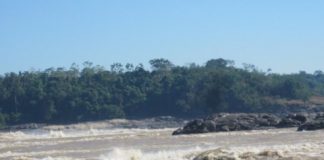 Research: Ancient people in the region began cultivating plants and altering forests earlier than previously thought —