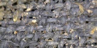 Research: Making thread in Bronze Age Britain —