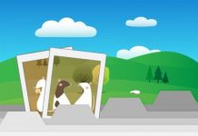 Research: Mouse memory cells are about experience, not place —