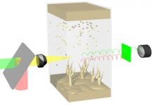 Tech: Looking inside the lithium battery’s black box — (Report)