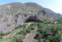 Research: Montane pine forests reached the northeastern coast of the Iberian Peninsula 50,000 years ago —
