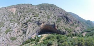 Research: Montane pine forests reached the northeastern coast of the Iberian Peninsula 50,000 years ago —