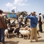 Study: A model for use in eradicating the disease — (Details)