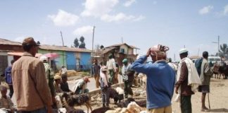 Study: A model for use in eradicating the disease — (Details)