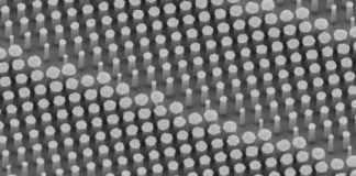 Tech: Researchers adopt metalens technology in a new endoscopic optical imaging catheter to better detect disease, including cancer — (Report)